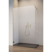 Душевая перегородка Essenza Pro Gold Walk-in 55