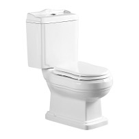 Унитаз напольный Azario Loretti безободковый с сидением микролифт AZ-239