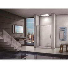Душевая дверь Good Door ANTARES WTW-100-C-CH