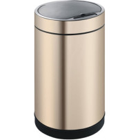 Ведро для мусора Weltwasser WW Mare CG 12L шампань золото