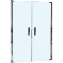 Душевая дверь Weltwasser WW600 600K2-120