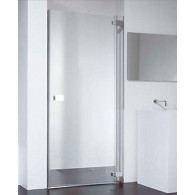 Душевая дверь Provex E-lite 0005-EN-05-GL R 100 см