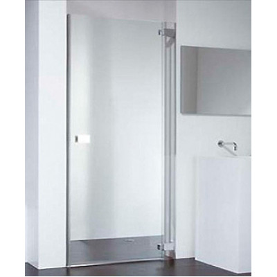 Душевая дверь в нишу Provex E-lite 0005-EN-05-GL R 100 см