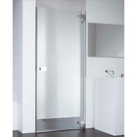 Душевая дверь Provex E-lite 0004-EN-05-GL R 90 см