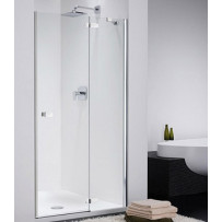Душевая дверь Provex Combi 0005-CN-05-GL R 100 см